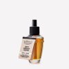 Sweet Cinnamon Pumpkin Wallflowers Fragrance Refill