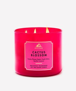 Cactus Blossom