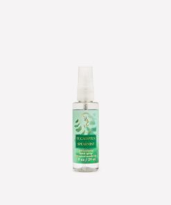 Eucalyptus Spearmint Hand Sanitizer Spray