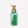 Eucalyptus Spearmint Gentle & Clean Foaming Hand Soap
