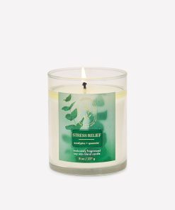 Eucalyptus Spearmint Single Wick Candle