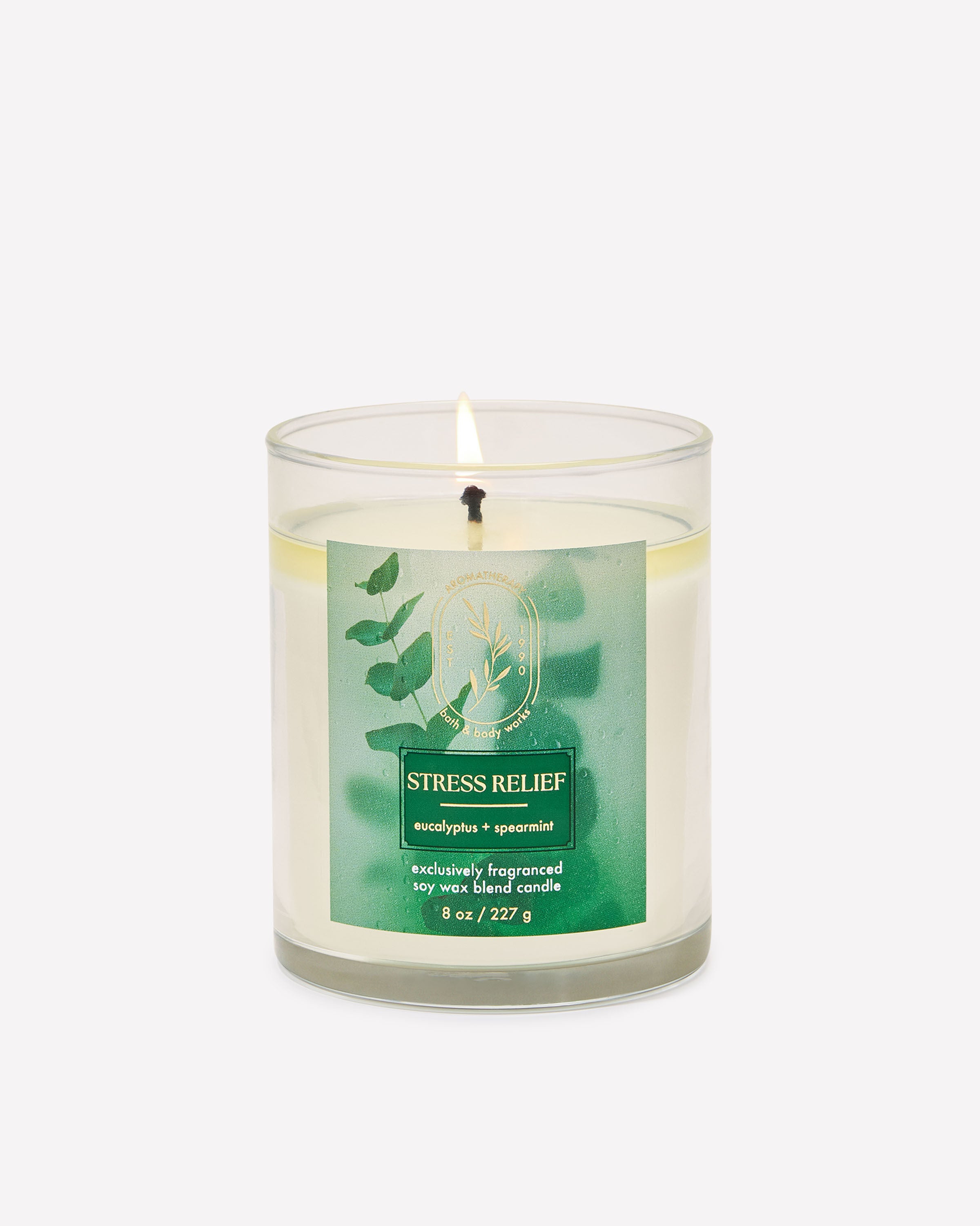 Eucalyptus Spearmint Single Wick Candle