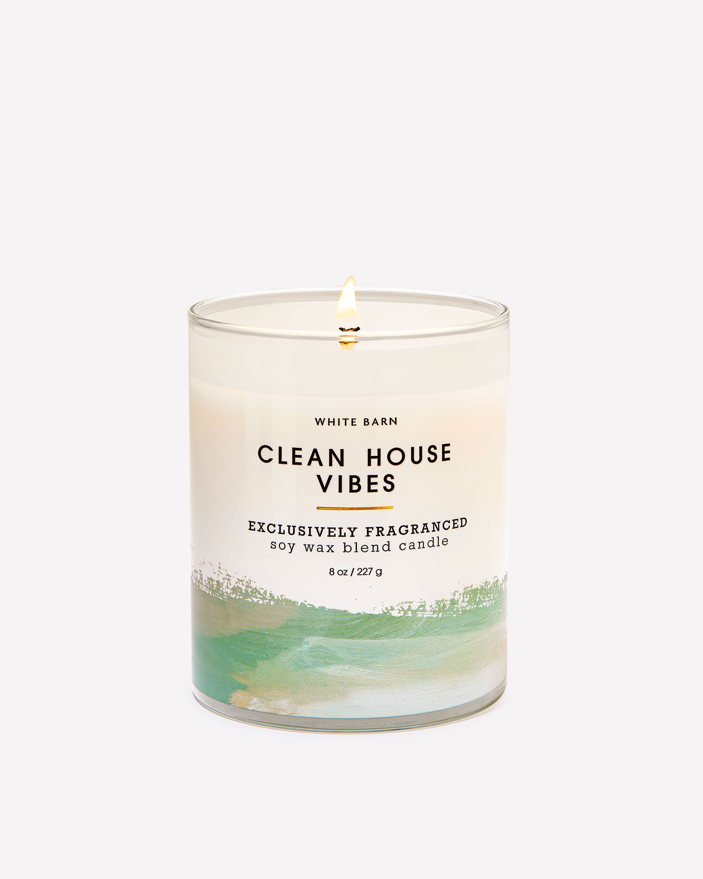 Clean House Vibes Single Wick Candle