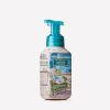 Sweater Weather Gentle & Clean Foaming Hand Soap