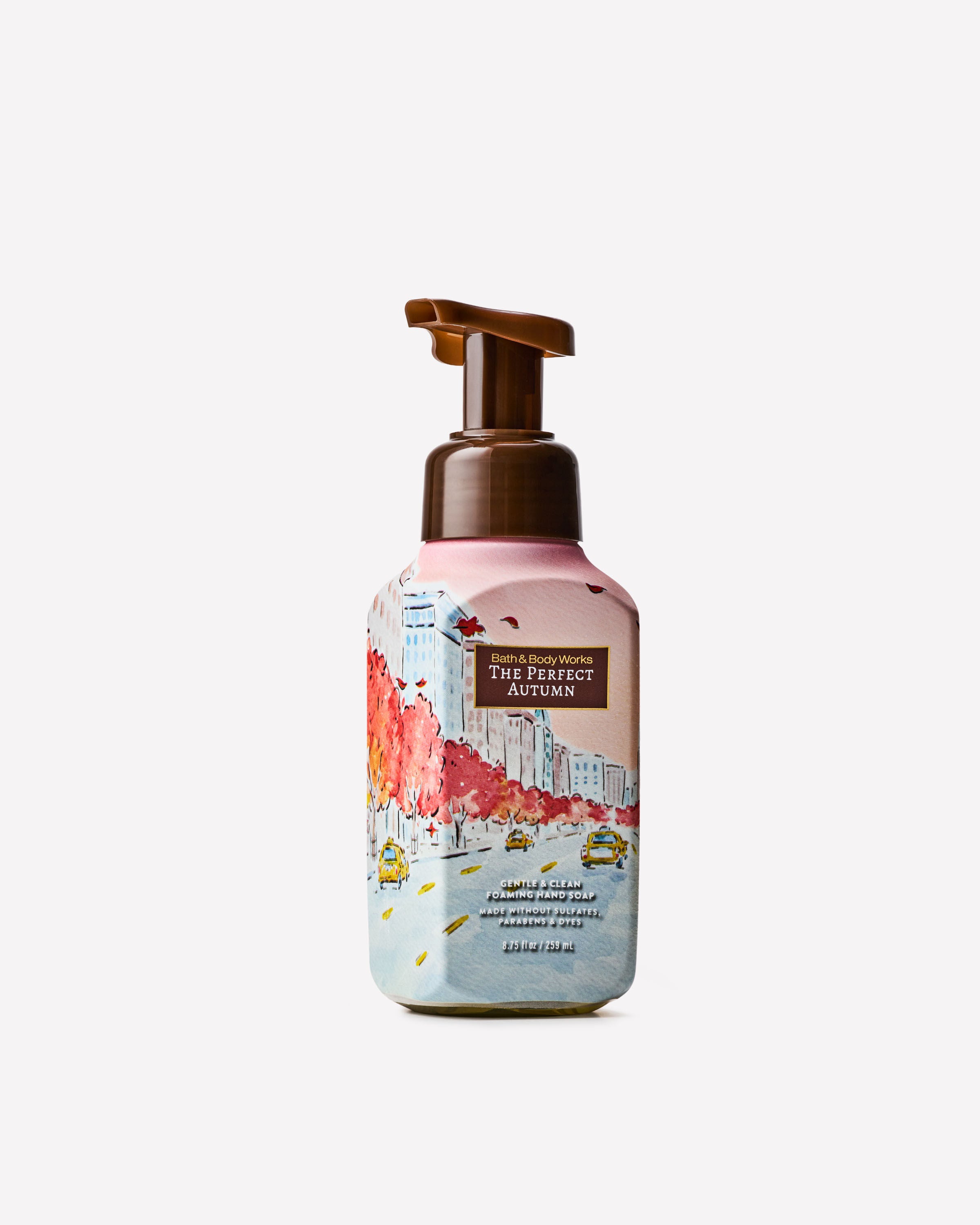 The Perfect Autumn Gentle & Clean Foaming Hand Soap