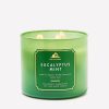 Eucalyptus Mint