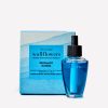 Bergamot Waters Wallflowers Refills 2-Pack