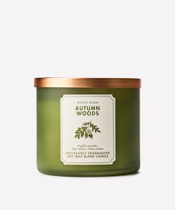 Autumn Woods