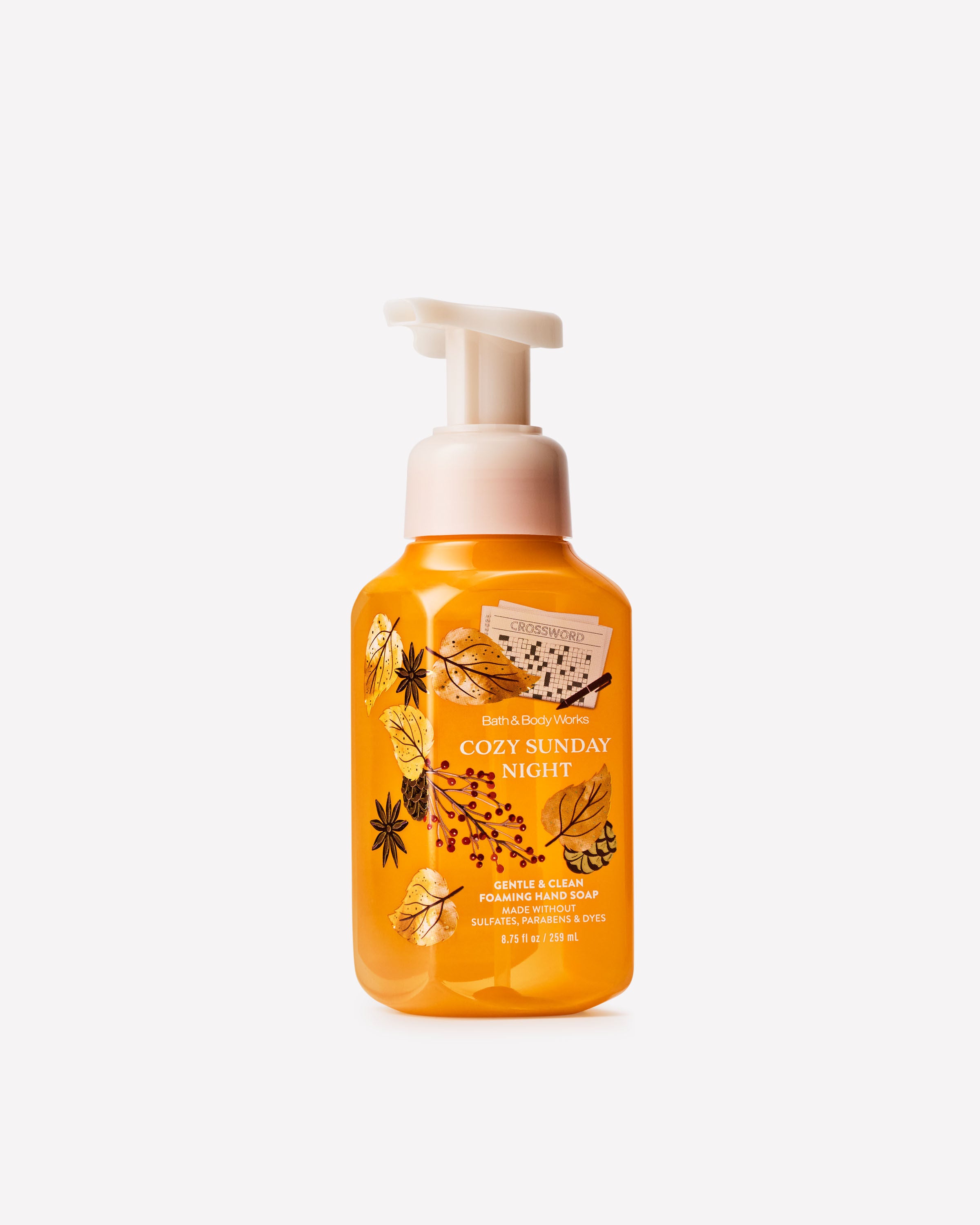 Cozy Sunday Night Gentle & Clean Foaming Hand Soap