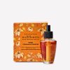 Sweet Cinnamon Pumpkin Wallflowers Refills 2-Pack