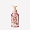 Champagne Toast Gentle & Clean Foaming Hand Soap