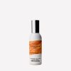 Clean House Vibes - Fall Edition Concentrated Room Spray
